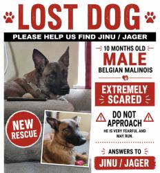 Lost Male Dog last seen Upper Providence twp Compost, Phoenixville, PA 19460