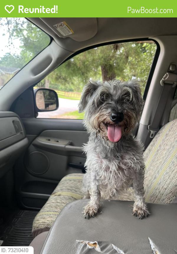 Reunited Female Dog last seen Westlake Subdivision, Conroe, TX 77304