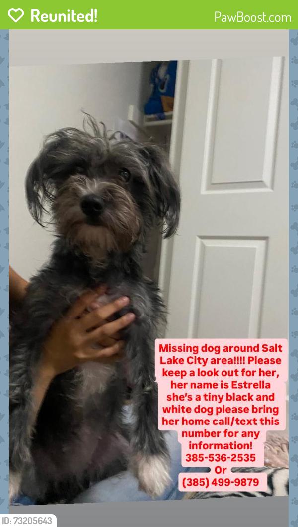 Reunited Female Dog last seen Near S 200 E Salt Lake City, UT 84115 United States, Salt Lake City, UT 84115