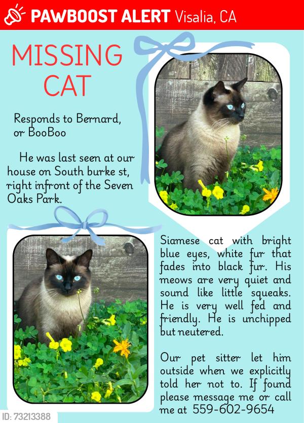 Lost Male Cat last seen South burke st, Seven oaks park, East cypress Ave, East Laurel Ave, , East Kaweah Ave, Visalia, CA 93292