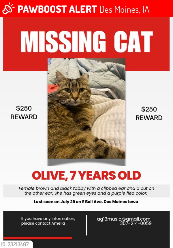 Lost Female Cat last seen E bell ave and se 17th st, Des Moines, IA 50320