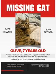 Lost Female Cat last seen E bell ave and se 17th st, Des Moines, IA 50320