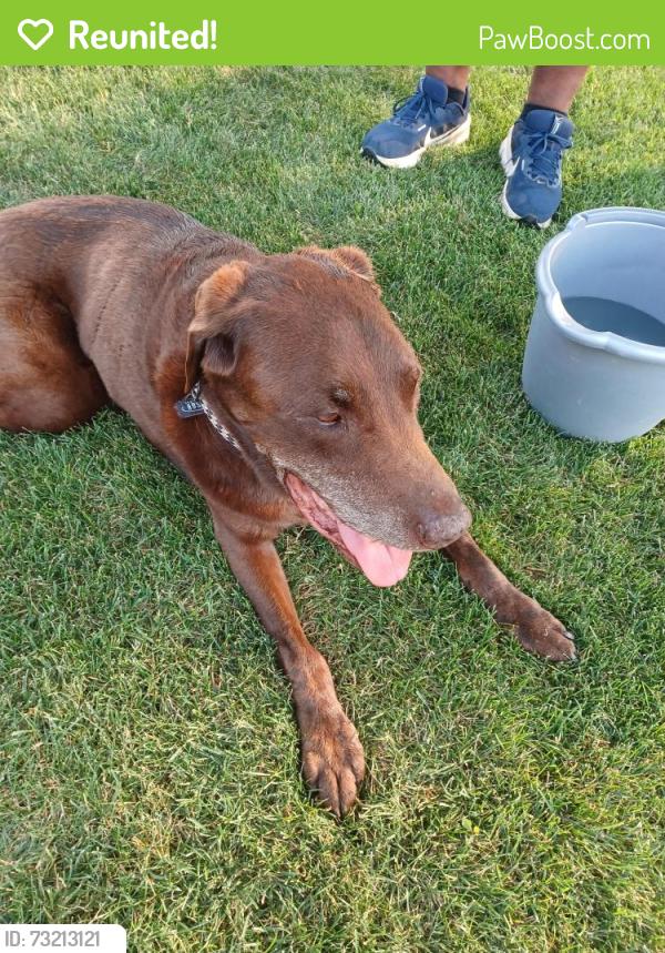 Reunited Male Dog last seen Firebrick & Gainsbourg, Kuna, ID 83634