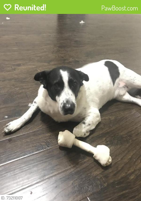 Reunited Male Dog last seen Near Hartford Ct, McKinney, TX 75070, USA, McKinney, TX 75070