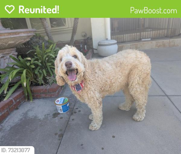 Reunited Female Dog last seen Skyline and Equestrian, North Tustin, CA 92705