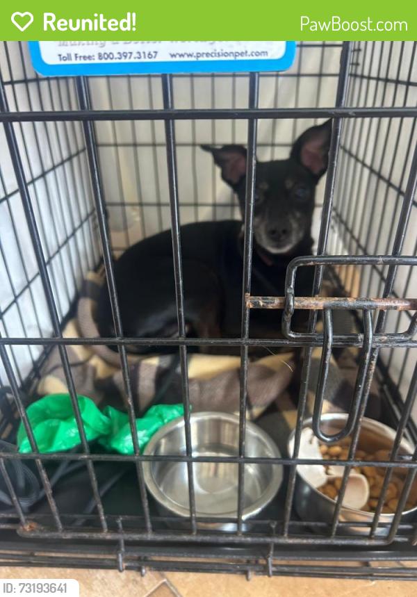 Reunited Male Dog last seen Ne 125th St and 3rd Ave, North Miami, FL 33161