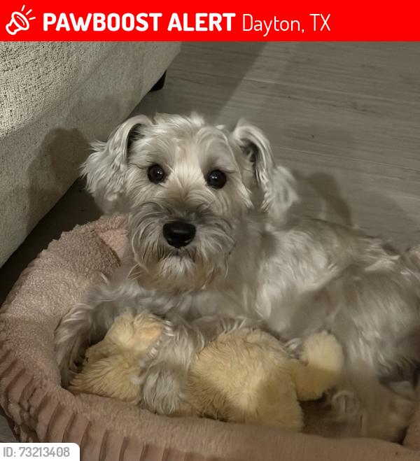 Lost Male Dog last seen Country road 4111, country road 414, Dayton, TX 77535