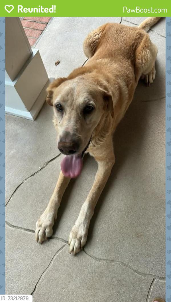 Reunited Male Dog last seen Fordham Road, Mobile, AL 36619