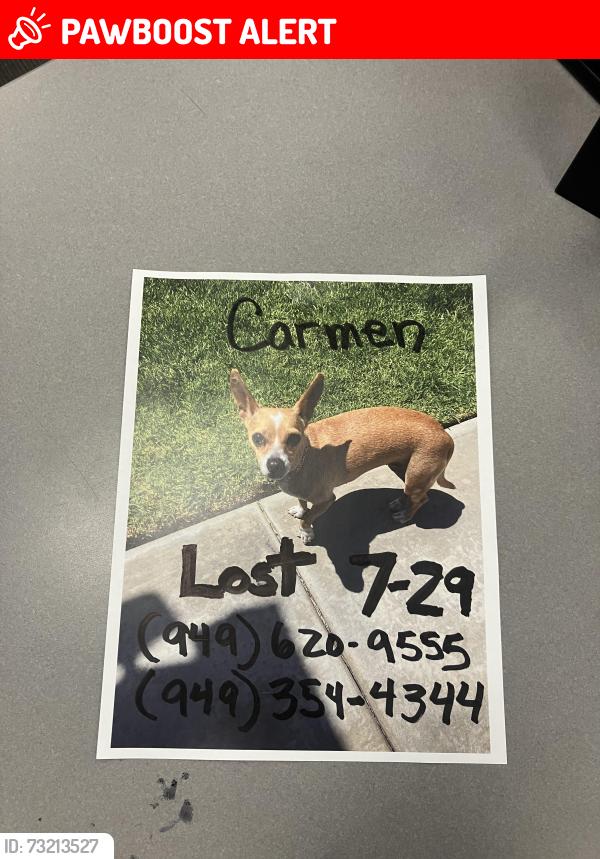 Lost Female Dog last seen Via Vista Circle, Huntington Beach Ca, Huntington Beach, CA 92648