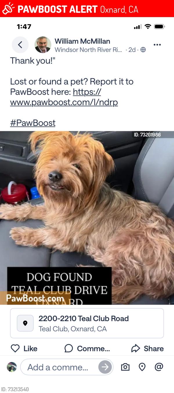 Lost Female Dog last seen Teal Club Drive, Oxnard, CA 93030