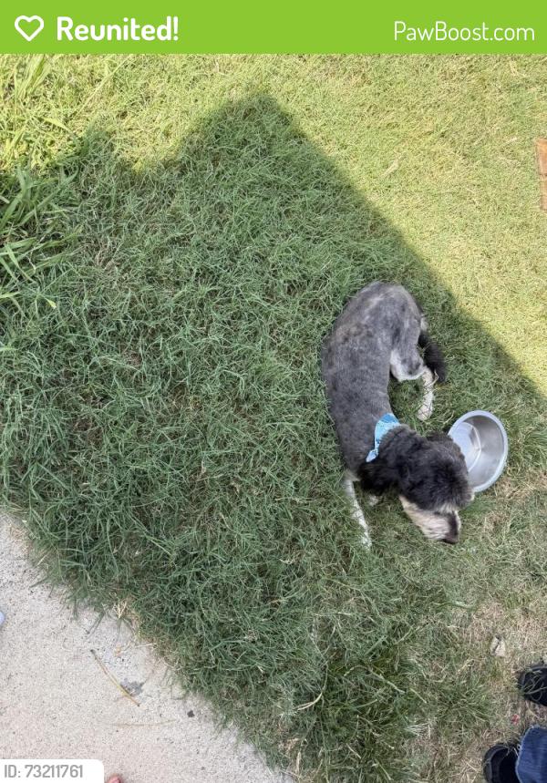 Reunited Male Dog last seen Garland, Garland, TX 75040
