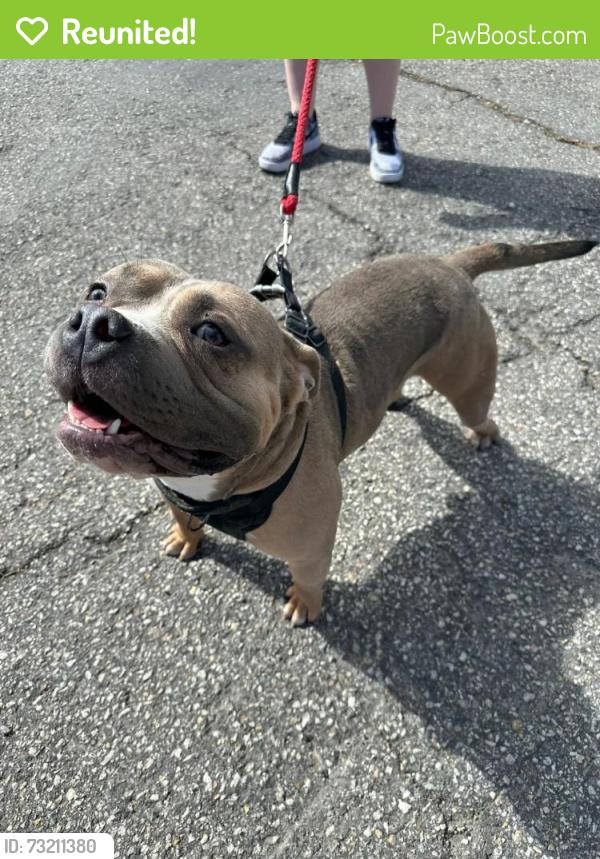 Reunited Male Dog last seen Washington blvd motel 6, Ogden, UT 84404