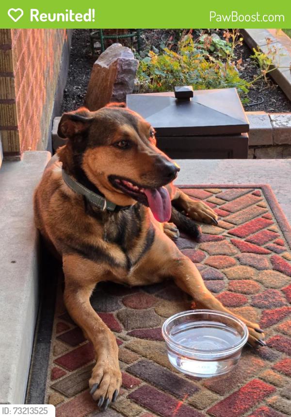 Reunited Unknown Dog last seen Tanner Park, Salt Lake City, UT 84109