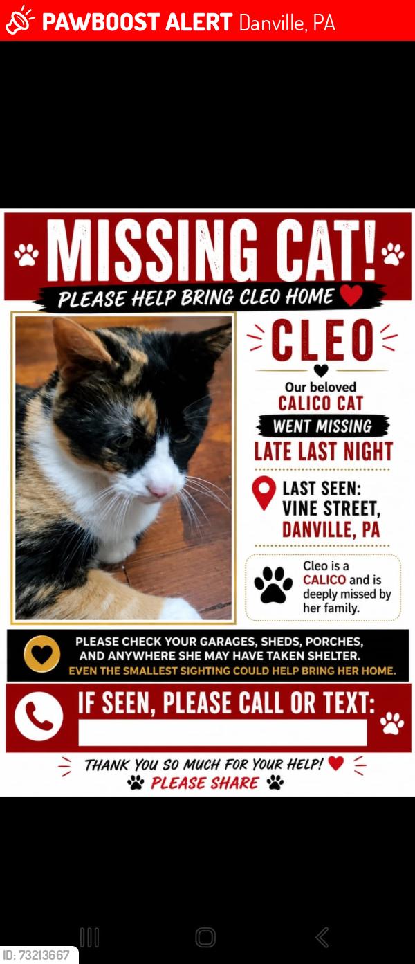 Lost Female Cat last seen Center street, Danville, PA 17821