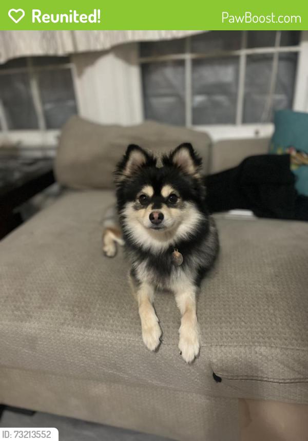 Reunited Male Dog last seen Ashboro circle, Palm Bay, FL 32909