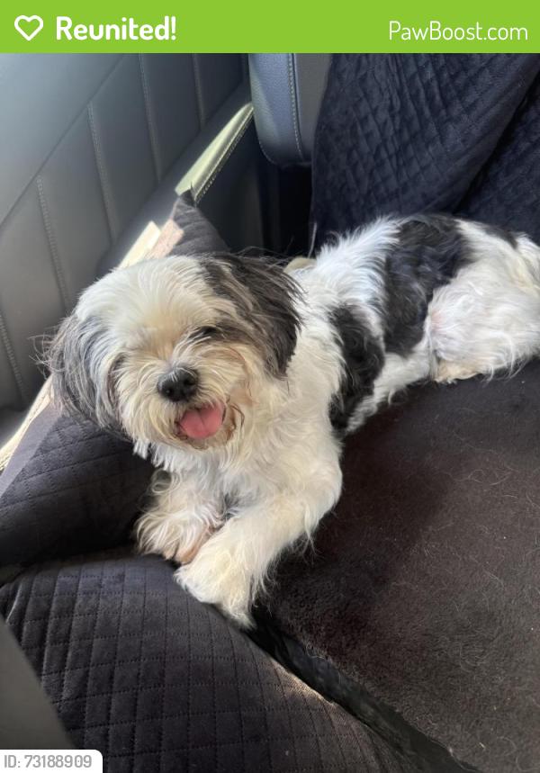 Reunited Female Dog last seen Home garage, Menifee, CA 92584