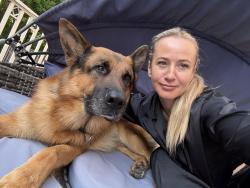 Reunited Male Dog last seen Near Mia Courtesy, Mississauga, Mississauga, ON L4W 5S3