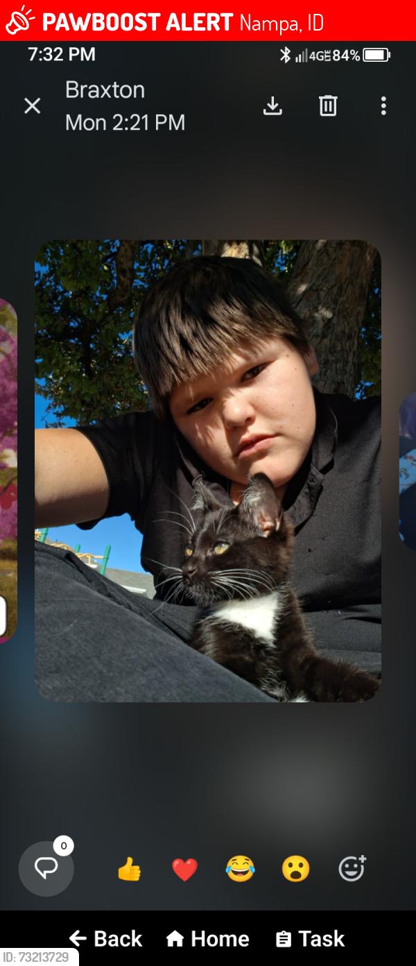 Lost Female Cat last seen Birch & Idaho center, Nampa, ID 83687