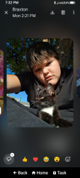Lost Female Cat last seen Birch & Idaho center, Nampa, ID 83687