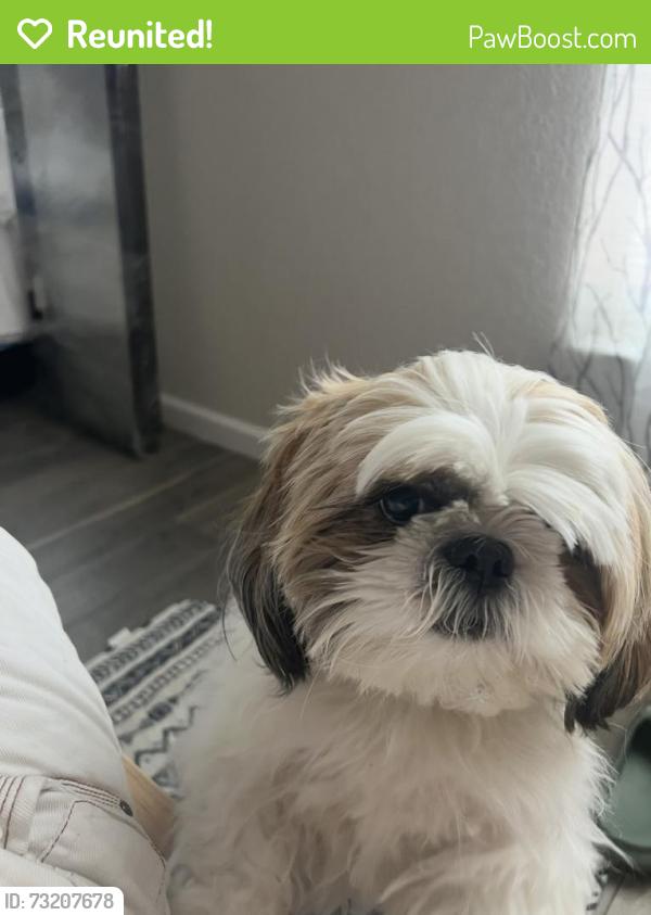 Reunited Male Dog last seen Potranco Rd & Dugas Dr, San Antonio, TX, San Antonio, TX 78251