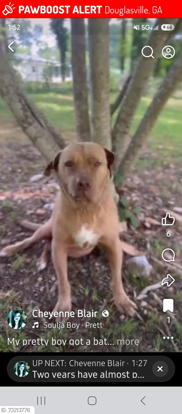 Lost Male Dog last seen Veterans Memorial, Douglasville, GA 30187