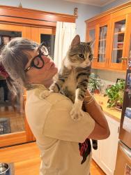 Reunited Male Cat last seen NE Alberta & Wygant, Portland, OR 97211
