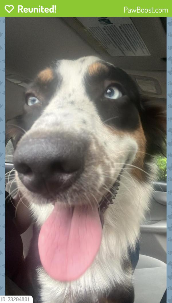 Reunited Female Dog last seen Storage unit by 6161 north blue angels parkway, Pensacola, FL 32526