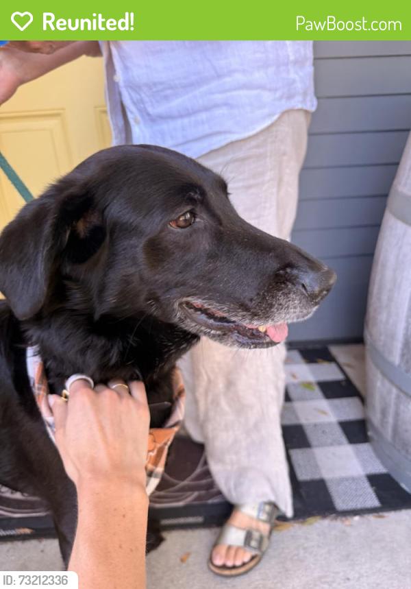 Reunited Male Dog last seen Near N Washington St, Tacoma, WA 98406, USA, Tacoma, WA 98406