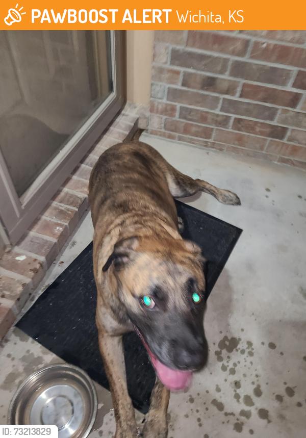 Found/Stray Male Dog last seen Deer Gleen neighborhood near the ponds, Wichita, KS 67235