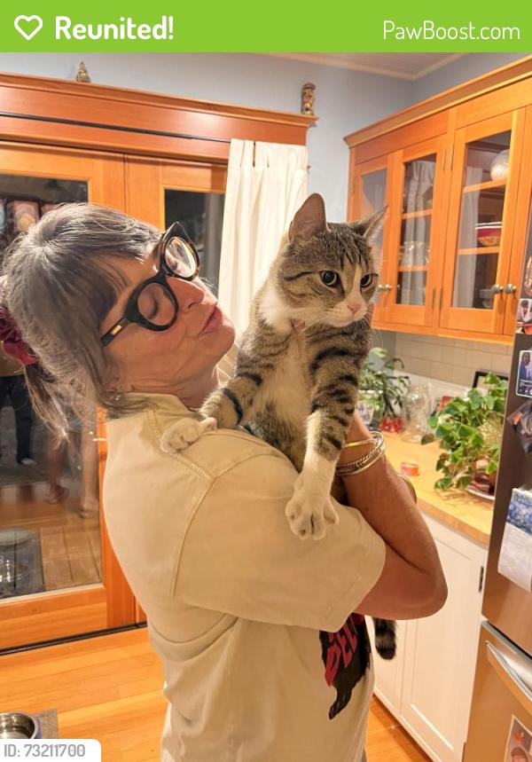 Reunited Male Cat last seen NE Alberta & Wygant, Portland, OR 97211