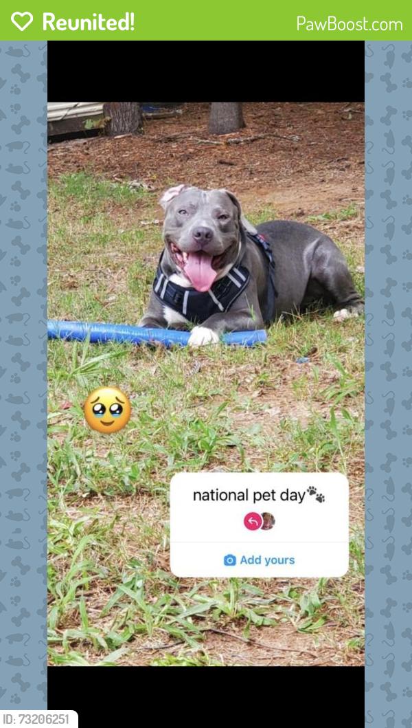 Reunited Male Dog last seen Underwood dr, Conyers, GA 30013