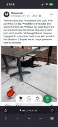 Found/Stray Female Dog last seen Freeport Boulevard, Sacramento, CA 95822
