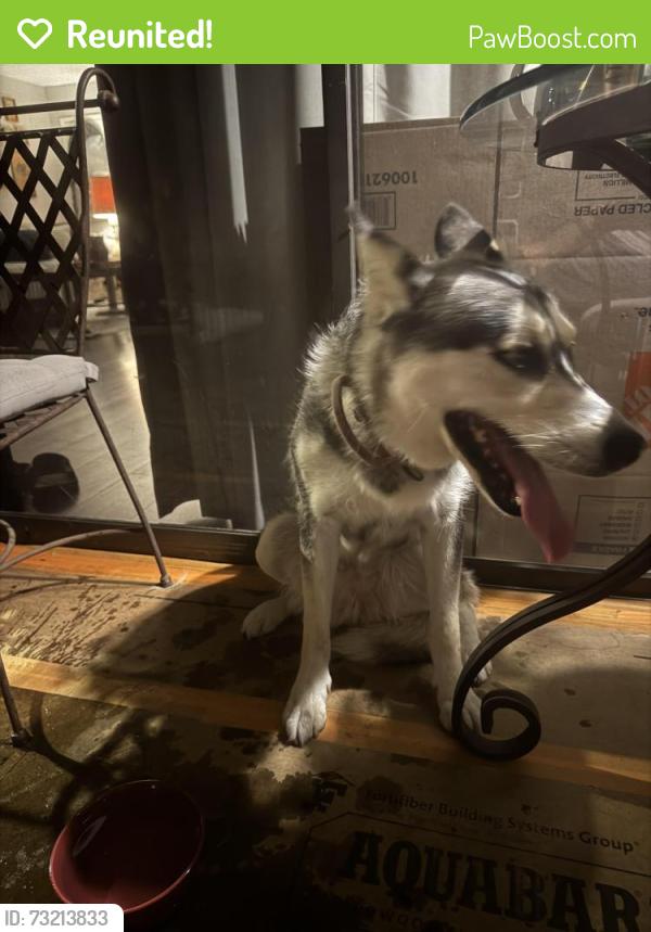 Reunited Unknown Dog last seen Fanita Drive and Fletcher Valley Drive, Santee, CA 92020