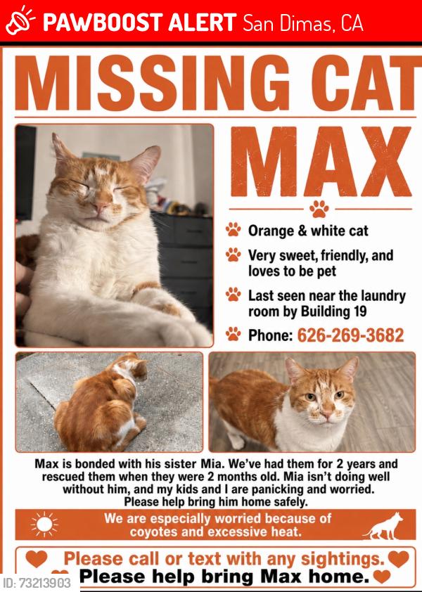Lost Male Cat last seen Trails at San dimas apts near building 19-20, San Dimas, CA 91773