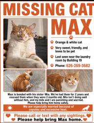 Lost Male Cat last seen Trails at San dimas apts near building 19-20, San Dimas, CA 91773