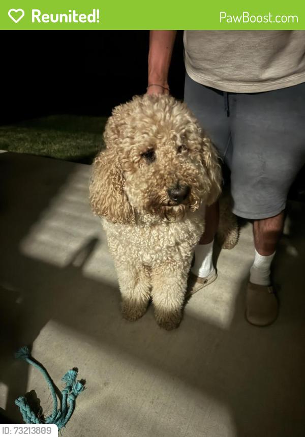 Reunited Male Dog last seen W Miller Rd, Springdale, AR 72762