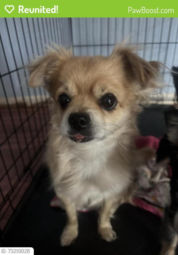 Reunited Male Dog last seen Near w 100th ave, Federal Heights, CO 80260