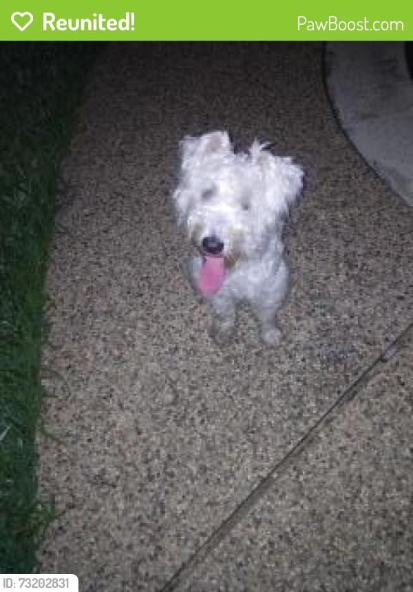 Reunited Male Dog last seen Pasadena blvd, Deer Park, TX 77536