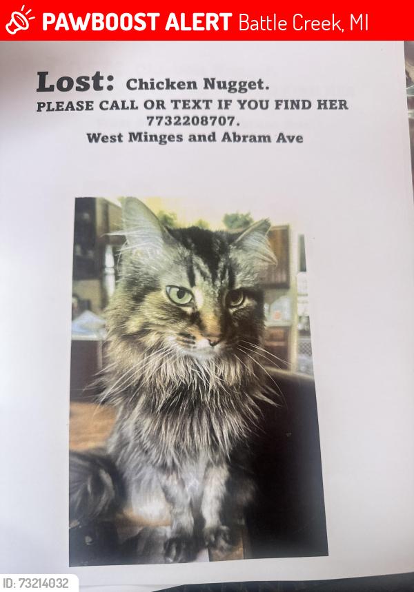 Lost Female Cat last seen West Minges by the bridge area, Battle Creek, MI 49015