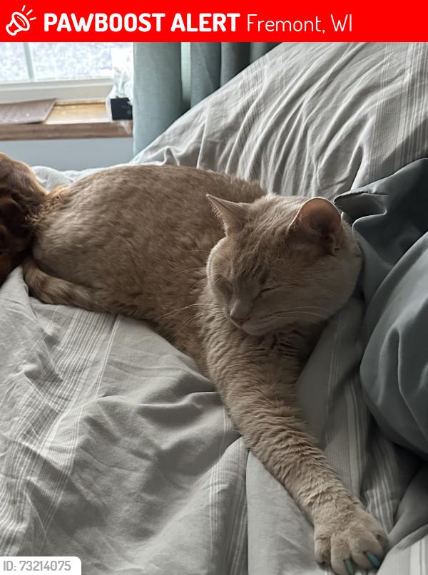 Lost Male Cat last seen Near Hopi Ln, Fremont, WI 54940
