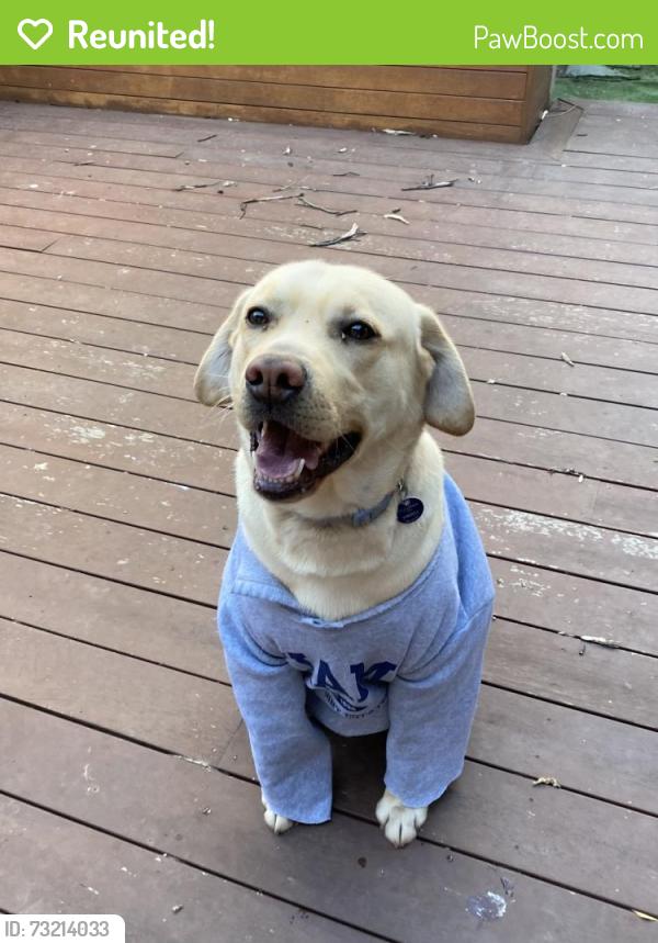 Reunited Male Dog last seen Unknown - ran out of our hse, Point Cook, VIC 3030