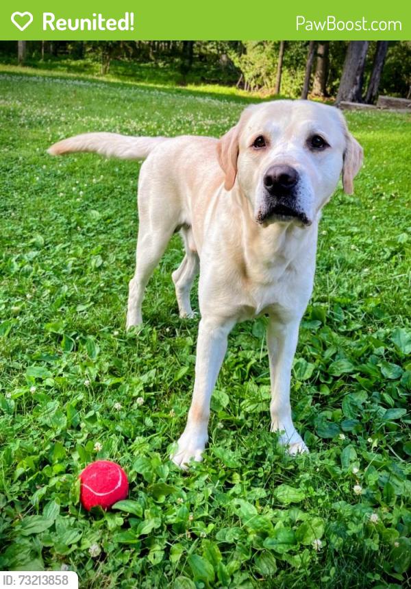 Reunited Male Dog last seen Next to Upper Bucks Tech School, Perkasie, PA 18944