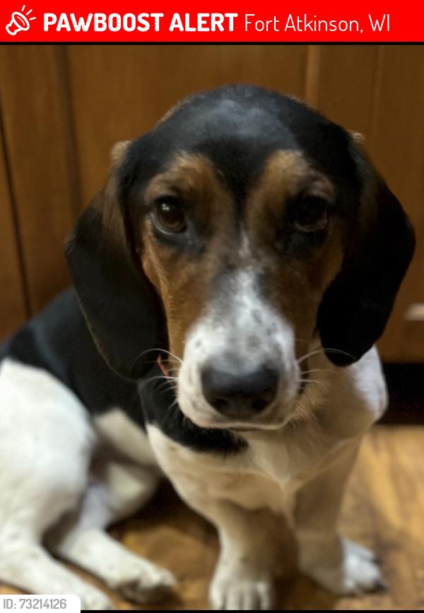 Lost Male Dog last seen HWY 106 & HWY 26, Fort Atkinson, WI 53538