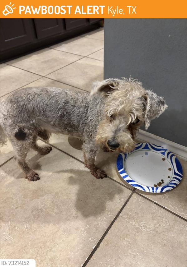 Found/Stray Male Dog last seen Four seasons farm, Kyle, TX 78640
