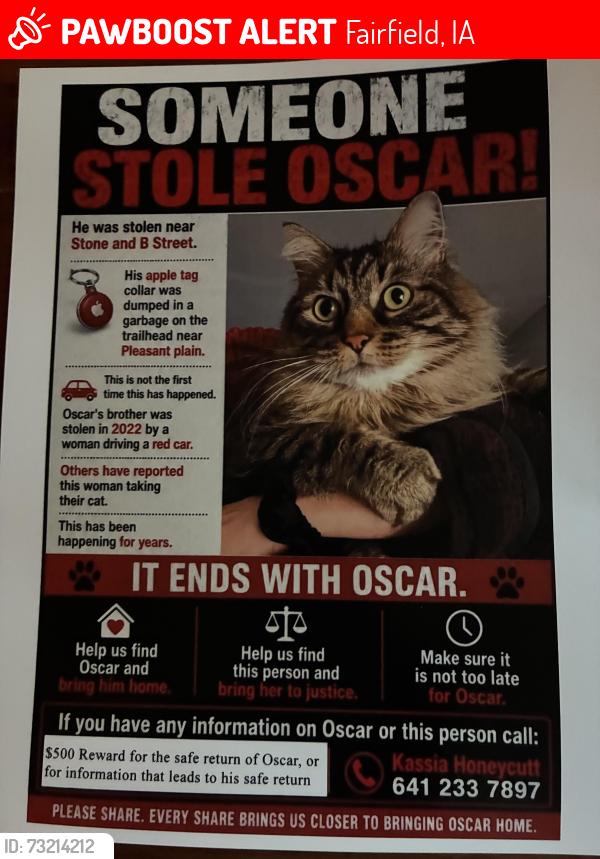Lost Male Cat last seen B street and Stone Ave, Fairfield, IA 52556