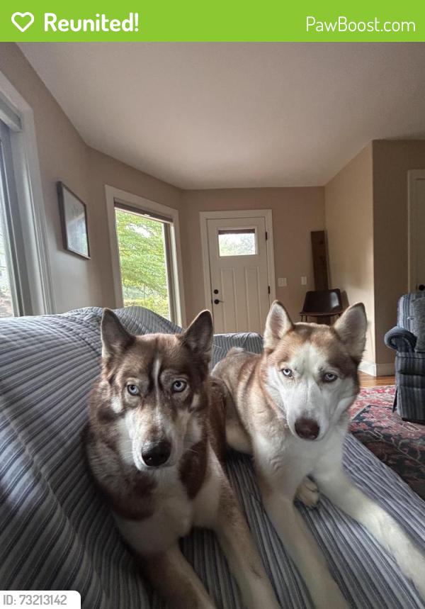 Reunited Female Dog last seen Near Etowah Valley Golf course, Etowah, NC 28729
