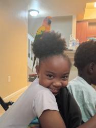 Lost Male Bird last seen Michigan ave, Fort Myers, FL 33916
