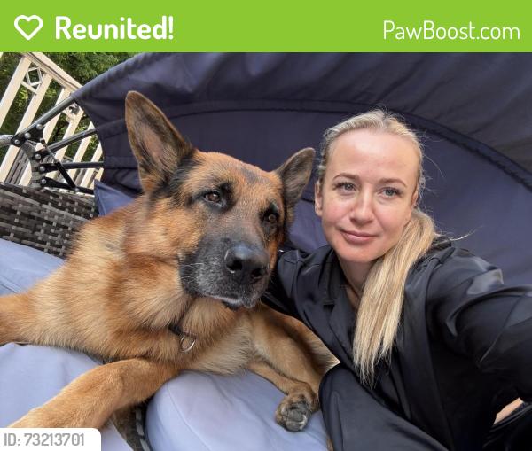 Reunited Male Dog last seen Near Mia Courtesy, Mississauga, Mississauga, ON L4W 5S3