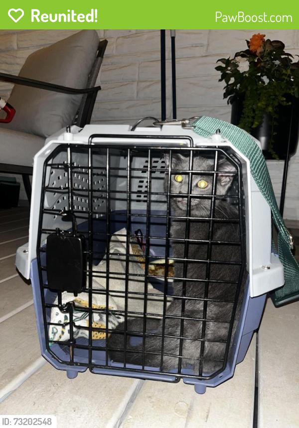 Reunited Male Cat last seen Swanboro Elementary, Richmond, VA 23224
