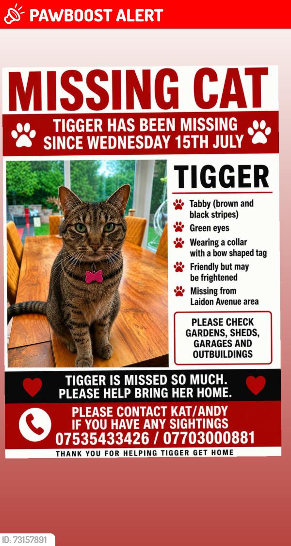 Lost Female Cat last seen Laidon Avenue, Rimsdale Close, Cheshire East, England 